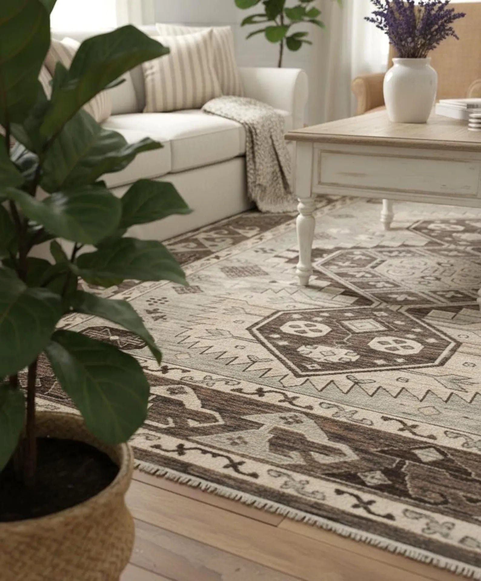 Southwestern Rugs