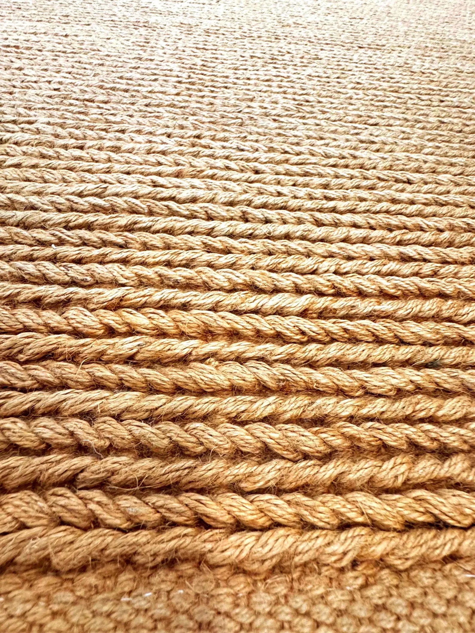 6'x9' Hand-Braided Natural Jute Area Rug