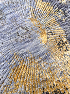 Radiant Abstract Round Wool & Silk Rug, Available in 6x6 ft, 8x8 ft and 9x9 ft